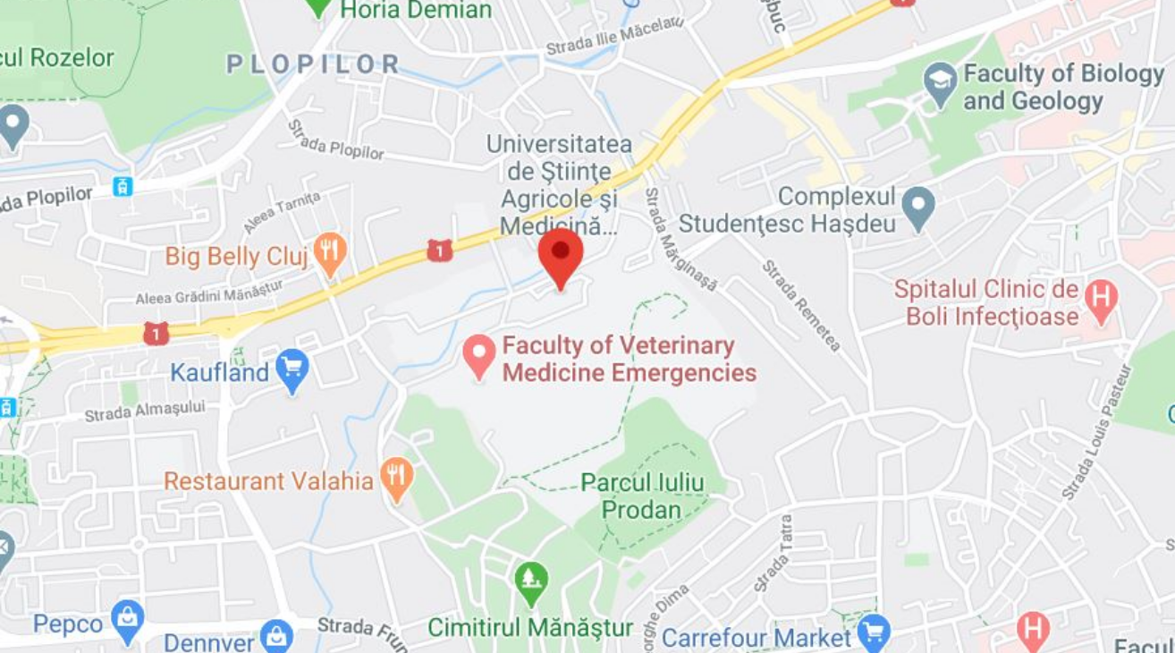 Clubul Francofon de Afaceri Cluj on Google Maps